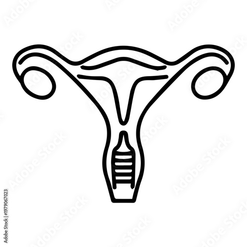  Uterus line icon stock vector. Illustration of a symbol