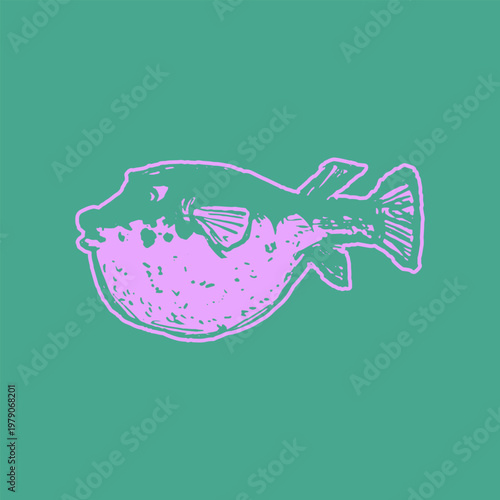 Handdrawn Carolina saltwater fish Doodle Illustration Fresh Sketch Style