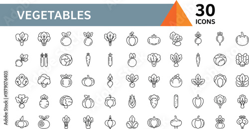 30 Organic Vegetables Line Icon Set