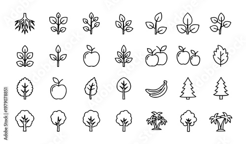 Botanical tree outline icon set with roots branches leaves and fruit pictograms in clean vector illustration