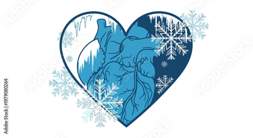 Anatomical heart illustration in shades of blue with icy snowflakes and icicles suggesting a frozen or cold condition