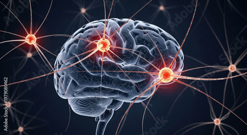 Conceptual 3d rendering of neural pathways and synapses in the human brain with glowing interconnected connections.
