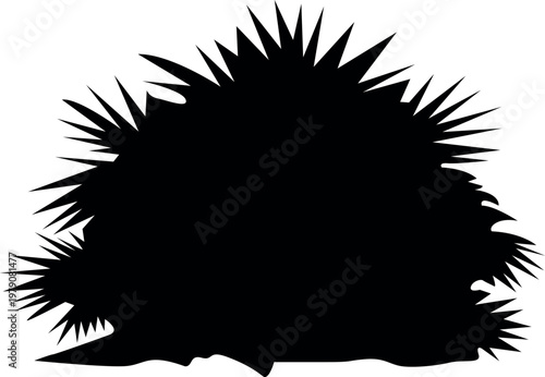 Silhouette of a sea urchin with prominent sharp spines