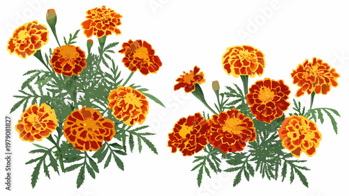 Vibrant orange marigold flowers with green stems and leaves displayed artfully