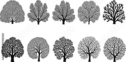 Set of black bare tree silhouettes, isolated sea coral reef vector illustrations, intricate winter branching graphic design elements, nature set.