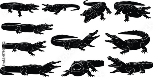 Set of black crocodile silhouettes, isolated on white background, wild alligator vector illustrations, dangerous reptile graphic design elements, scary predator.
