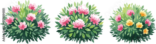 Flowering garden bushes vector illustration set with pink and yellow blooms lush foliage decorative botanical plants isolated collection design