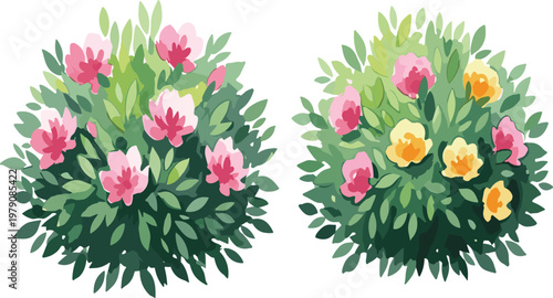 Flowering garden bushes vector illustration with pink and yellow blooms lush foliage decorative botanical plants isolated nature design