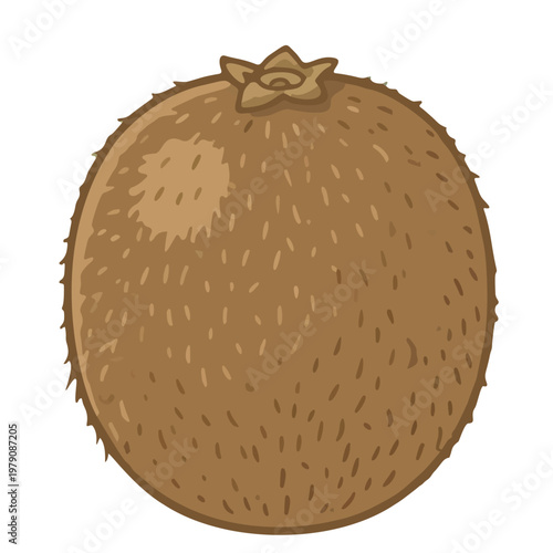vector illustration of an kiwi