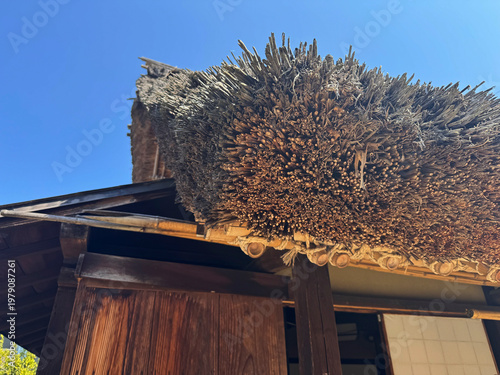 茅葺き屋根の軒先