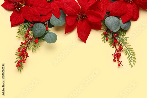 Christmas flower poinsettia...