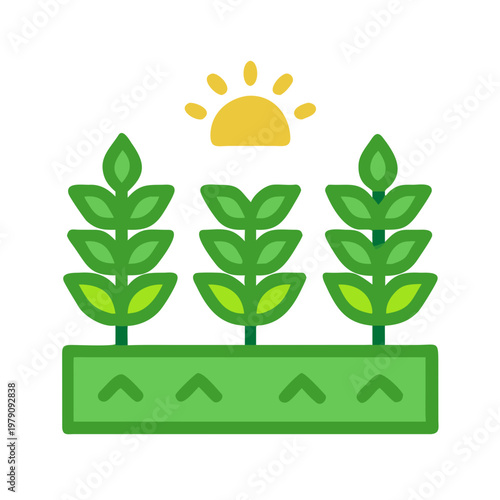 Iconic green field with young plants and rising sun against black background