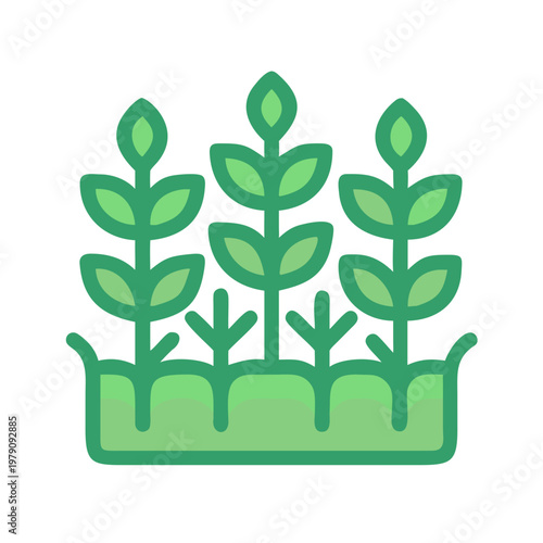 Growing seedlings in a plot, symbolizing nature, growth, and environmental care