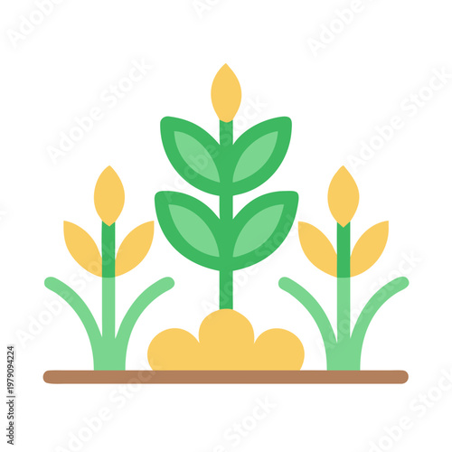 Flat illustration of fresh wheat plants growing in a cultivated field