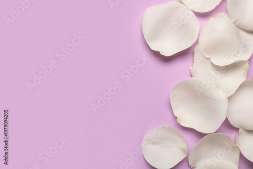 Beautiful white rose petals...
