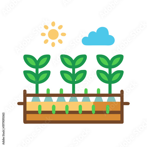 Illustration of plants in a wooden box under the sun and cloud.