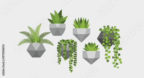Collection of Potted Plants with Various Foliage.