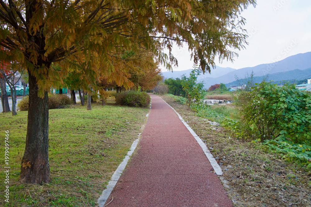 Fototapeta premium Autumn Path Along Taehwagang
