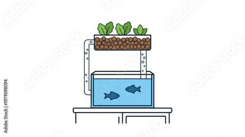 Aquaponics System Fish Tank Setup.
