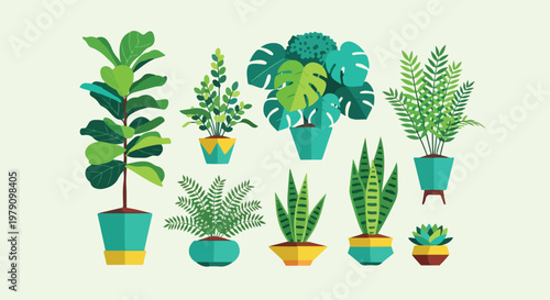 Collection of various potted houseplants.