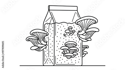 Carton with mushrooms growing on it.