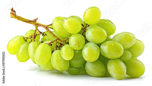 Juicy green grapes, glistening with water droplets, clustered on a vine