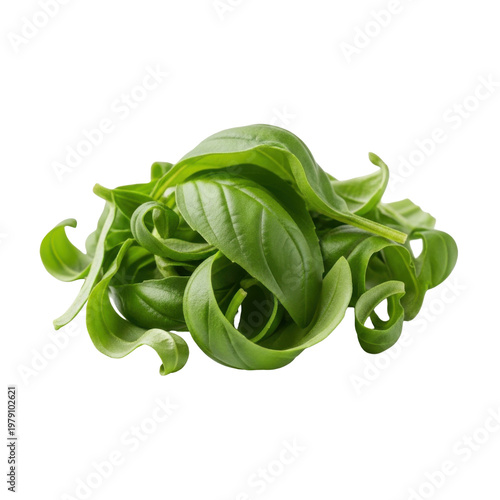 Fresh green kale leaves twisted organic vegetable healthy food nutrition close-up