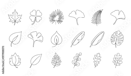A set of minimalist leaf illustrations in a simple line art style