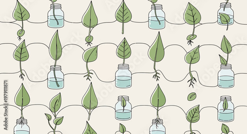 Plant Propagation: Growing New Plants from Cuttings in Jars of Water