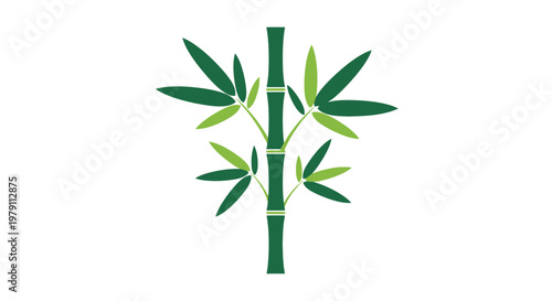 Bamboo Plant Illustration with Green Leaves.