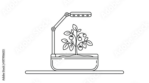 Indoor plant with grow light.