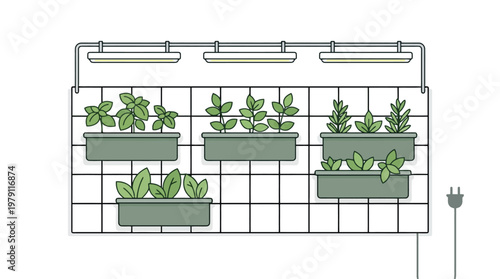 Vertical garden with green plants growing.
