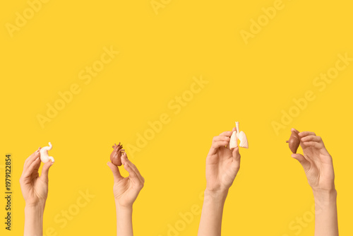 Female hands with human int...