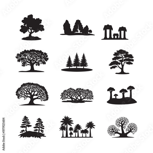 Black and white of various trees and plants foliage pine