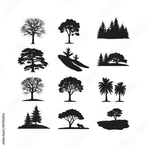 Black and white of various types of trees and foliage forest deciduous tree