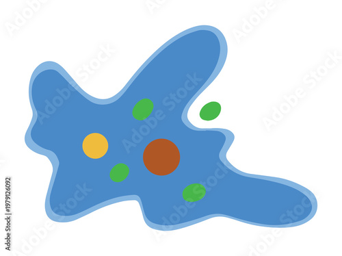 Amoeba Protozoa Clip Art Illustration
