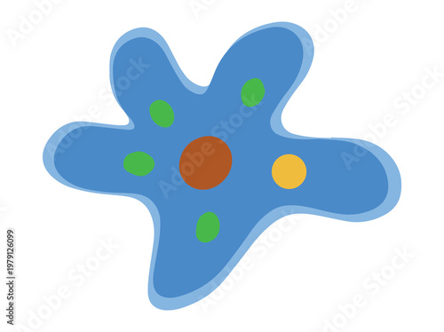 Amoeba Protozoa Clip Art Illustration
