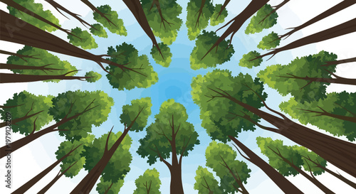 Looking up through a dense forest canopy towards a bright blue sky