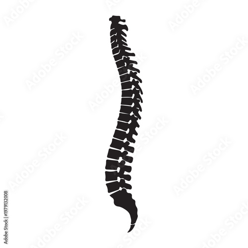 Human Spine Icon Silhouette Vector black design on a white background