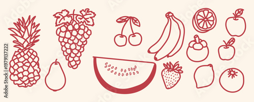 Set of hand drawn doodle fruits including pineapple, grapes, cherries, banana, watermelon, strawberry, apple, orange, pear, mangosteen and lemon