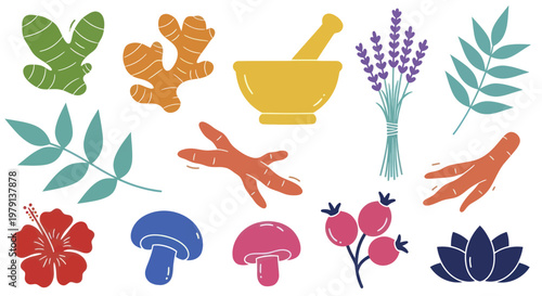 Collection of Natural Ingredients and Herbs for Wellness and Health.