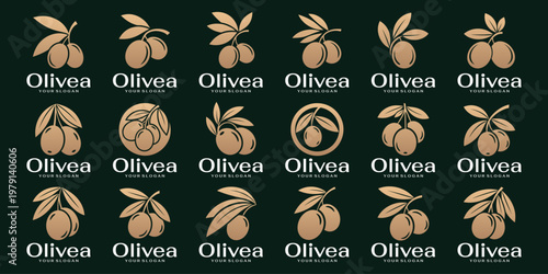 Premium olive oil logo set with abstract and elegant style, featuring olive symbol and oil splash for a professional visual identity.