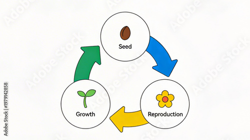 Plant Life Growth and Reproduction Cycle