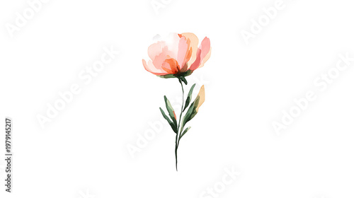 A watercolor painting of a flower with a green stem