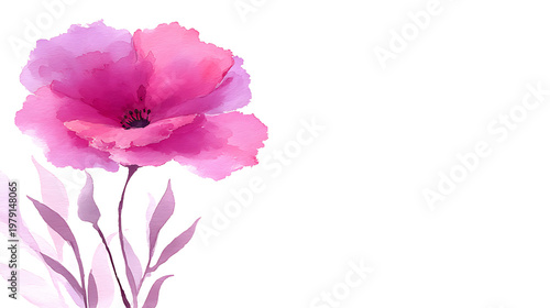 A pink flower with a white background