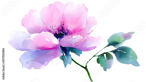 A watercolor painting of a pink flower with a green stem