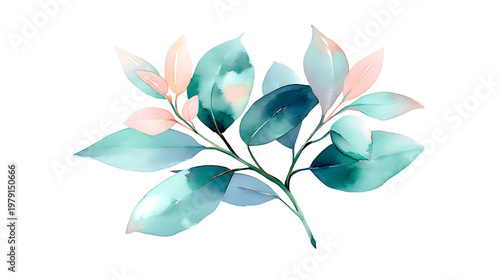 A leafy green plant with pinkish tones