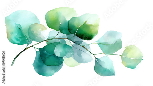 A green leafy plant with a stem