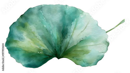 A leaf with a green stem