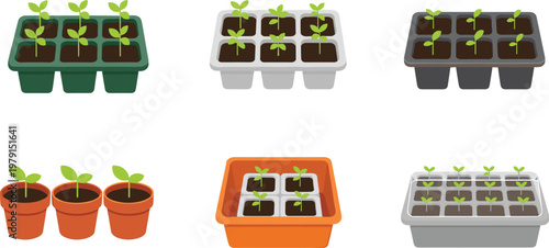Seed Germination Stages Collection with Plant Growth Process from Sprout to Seedling Flat Vector Illustration Set for Gardening Education
